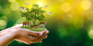 Hands holding miniaturized tree with wildlife