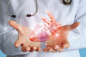 Doctor Holding Heart in Palms