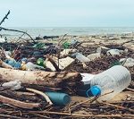 plastic waste dumped on ocean beach