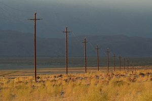 Telephone poles along rural road