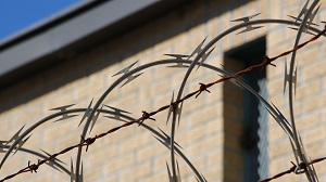 barbed wired fence