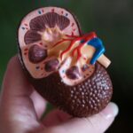 Advanced Urology